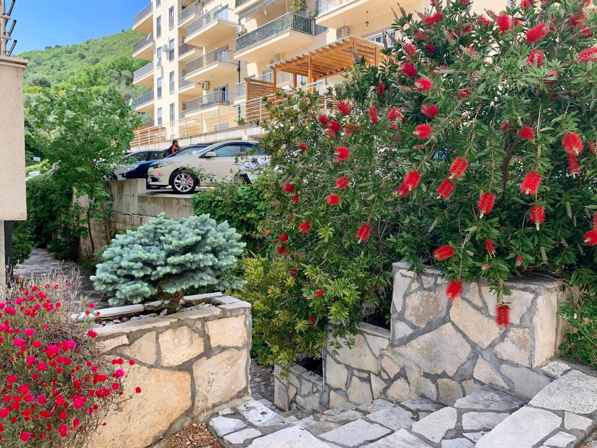 Best View Apartment Петровац Экстерьер фото